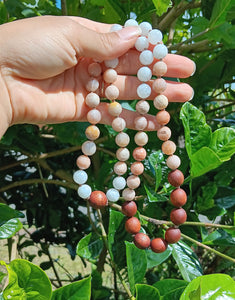 “Hawaiian Island Necklace” - Hawaiian Koa, Moonstone, and Peach Moonstone.